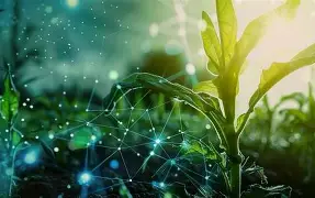 TAGDev 2.0 agri-product innovations